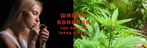 бошки Горняк