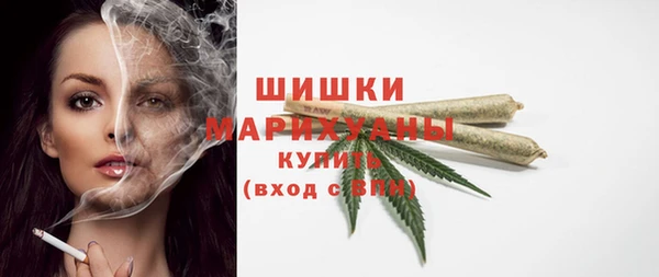 бошки Горняк