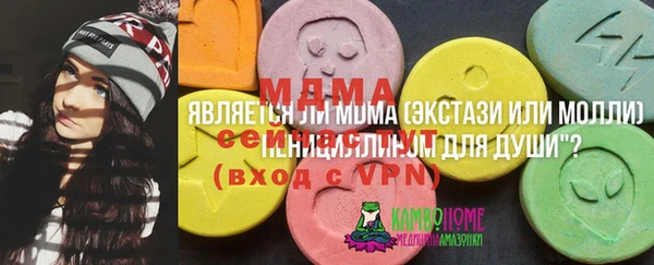бошки Горняк